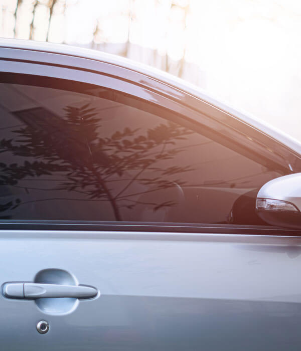 car window tint reflecting palm tree